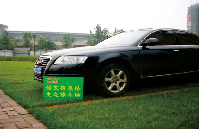 停車場植草格 停車場植草格