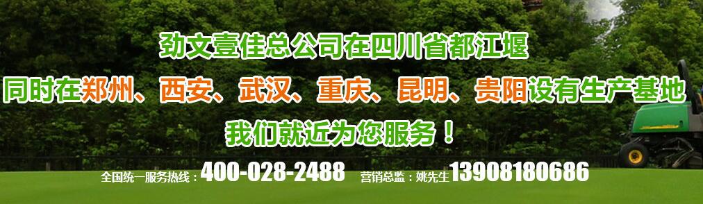 四川植草格 四川植草格